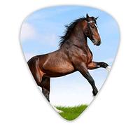 Plettri per chitarra Black Horse Running in Field 12 pezzi Plettri per ukulele inclusi 0,46 mm 0,71 mm 0,96 mm