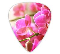 Plettri per chitarra Blooming Pink Orchid 12 pezzi Plettri per ukulele inclusi 0,46 mm 0,71 mm 0,96 mm