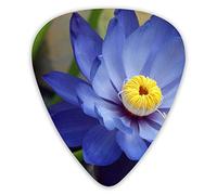 Plettri per chitarra Blue Lotus Flower Significato e simbolismo 12 pezzi Plettri per ukulele inclusi 0,46 mm 0,71 mm 0,96 mm