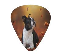Plettri per chitarra, Boston Terrier Autumn Bokeh Dogs Dogs In Forest per chitarra acustica, chitarra elettrica, basso, ukulele tre dimensioni (confezione da 12)