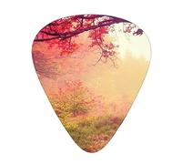 Plettri per chitarra con paesaggio autunnale con scatola portaoggetti per chitarra 12 plettri per chitarra 3 spessori sottili medi pesanti 0,46 0,71 0,96 mm plettri per chitarra acustica elettrica o