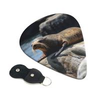 Plettri per chitarra con sigillo marrone sulla roccia, spessore 0,96 mm, con supporto in pelle, plettro personalizzato per basso, chitarra elettrica, acustica, regalo per gli amanti