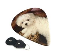 Plettri per chitarra con stampa barboncino francese, 6 pezzi, plettro per chitarra acustica, elettrica, basso, chitarre acustiche, ukulele, sottili, medi, spesse, 0,71 mm