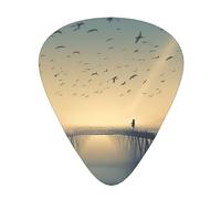 Plettri per chitarra con stampa "Bridges Of Birds", sottili, medi, pesanti, per chitarra acustica, chitarra elettrica, basso, regalo di Natale, 12 pezzi