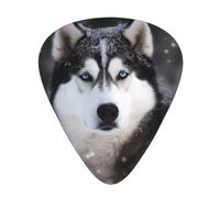 Plettri per chitarra con stampa di Husky In Snow, personalizzati, per chitarra elettrica e acustica, confezione da 12