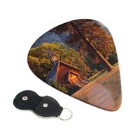 Plettri per chitarra con stampa paesaggistica, 6 pezzi, plettro per chitarra elettrica acustica, per basso, chitarre acustiche elettriche, ukulele, sottili, medi, spessi, 0,71 mm