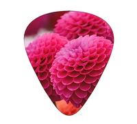 Plettri per chitarra, confezione da 12, 3 diversi spessori, bellissimi fiori rosa, con custodia in plastica trasparente, per chitarra elettrica, basso, ukulele, (inclusi 0,46 mm, 0,71 mm, 0,96 mm)