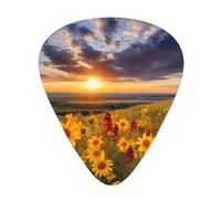Plettri per chitarra, confezione da 12, comodi da tenere in mano, con bordi lisci, tre spessori da abbinare ai fiori selvatici della prateria del Montana Immagine