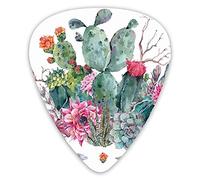 Plettri per chitarra Confezione da 12 con scatola sottile, Bouquet esotico le ad acquerello in stile Boho Fiori succulenti Piume e frecce, Set regalo di plettri per chitarra speciali per chitarr