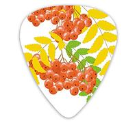 Plettri per chitarra Confezione da 12 con scatola sottile, foglie fresche e secche e succosi frutti di sorbo, ceneri, temArurale, set regalo speciale di plettri per chitarra per chitarrista