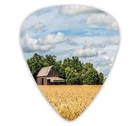 Plettri per chitarra Confezione da 12 con scatola sottile, foto pastorale di un cottage davanti agli alberi in una campagna di campi di grano, set regalo speciale di plettri per chitarra per chitarris