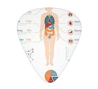 Plettri per chitarra Confezione da 12 Infografica Mappa Uomo Donna Sottile Medio Pesante Plettri