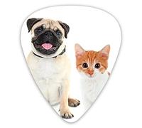 Plettri per chitarra Confezione da 12 pezzi con scatola sottile, Adorabile fotografia di gattini e cuccioli Animali carini Divertimento Animali giovani Immagine felice, Set regalo di plettri per chita