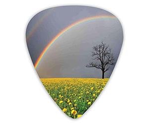 Plettri per chitarra Confezione da 12 pezzi con scatola sottile, campo di tarassaco e albero solitario solitario sotto il cielo nuvoloso con tempo piovoso arcobaleno, set regalo speciale di plettri pe