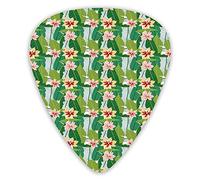 Plettri per chitarra Confezione da 12 pezzi con scatola sottile, motivo botanico in stile hawaiano esotico per il paradiso tropicale e le vacanze paradisiache, set regalo speciale di plettri per chita