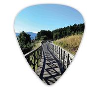Plettri per chitarra Confezione da 12 pezzi con scatola sottile, sentiero in legno sul ponte sul mare Placid Quiet Alone Time Plants Tree Healing Print, set regalo speciale di plettri per chitarra per