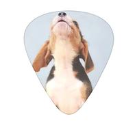 Plettri per chitarra Confezione da 12 piccoli cuccioli di beagle che guardano in alto plettri sottili e pesanti stampati