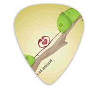 Plettri per chitarra Confezione da 12 Plettri con scatola sottile, Rettili degli alberi sul ramo San Valentino L'amore è ovunque nel pianeta Terra, Set regalo di plettri per chitarra speciali per chit
