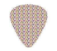 Plettri per chitarra Confezione da 12 Plettri con scatola sottile, Tema colorato dell'agricoltura del raccolto Modello continuo con nomi scritti di cibo, Set regalo di plettri per chitarra speciali pe