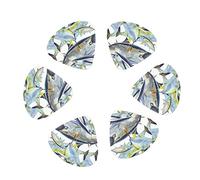 Plettri per chitarra Confezione da 12 Plettri per chitarra Salmon Fish per chitarra elettrica Chitarra acustica Varie chitarre