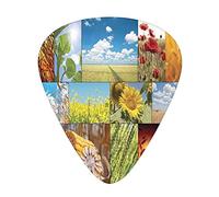 Plettri per chitarra Confezione da 12 Plettri per chitarra universali in ABS, Colture sotto il sole Girasole Campo di grano Tema fattoria rustica Stampa di paesaggi idilliaci, per chitarra acustica ed