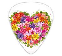 Plettri per chitarra Confezione da 12 Plettri per chitarra universali in ABS, cornice a cuore con fiori shabby chic Rose foglie Tema d'amore romantico Immagine per chitarra acustica ed elettrica