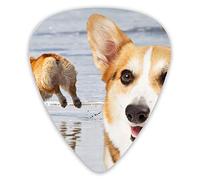 Plettri per chitarra Corgi Running Happily by The River 12 pezzi Plettri per ukulele inclusi 0,46 mm 0,71 mm 0,96 mm