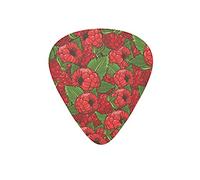 Plettri per chitarra Cranberry Fruit Red Plettro per chitarra elettrica per gli amanti della chitarra acustica, confezione da 12 pezzi con scatola
