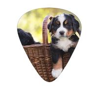 Plettri per chitarra, cuccioli di bovaro del Bernese per chitarra acustica, chitarra elettrica, basso, ukulele tre dimensioni (confezione da 12)