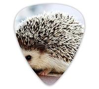 Plettri per chitarra Cute Baby Hedgehog Premium Picks Sampler 12 Packs - Varietà Plettri per chitarra Plettri