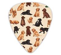 Plettri per chitarra Cute Labrador Dog Animal Plettri per chitarra 12 pezzi Plettri per ukulele inclusi 0,46 mm 0,71 mm 0,96 mm