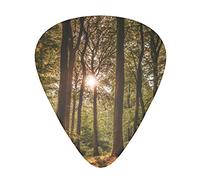 Plettri per chitarra da 12 pezzi Il sole splende attraverso i boschi 3 diversi spessori, per chitarra acustica, chitarra elettrica, basso