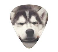 Plettri per chitarra da 12 pezzi Plettri per chitarra Husky Dog Include calibri sottili, medi e pesanti 3 misure per chitarre Ukulele con scatola di immagazzinaggio dell'organizzatore