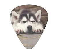 Plettri per chitarra da 12 pezzi Plettri per chitarra Husky Dog Include calibri sottili, medi e pesanti 3 misure per chitarre Ukulele con scatola di immagazzinaggio dell'organizzatore