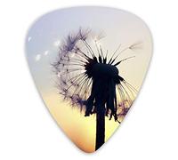 Plettri per chitarra Dandelions at Sunset 12 pezzi Plettri per ukulele inclusi 0,46 mm 0,71 mm 0,96 mm