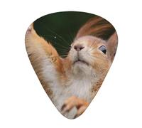 Plettri per chitarra divertenti con stampa scoiattolo, 12 pezzi, plettri in celluloide, classici triangoli per chitarra acustica, elettrica, basso, inclusi 0,46 mm, 0,71 mm, 0,96 mm