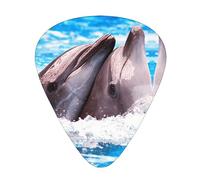 Plettri per chitarra Due delfini nell'acqua Confezione da 12 Plettri per chitarra sottili medi pesanti Accessori per chitarra per basso, chitarre con scatola di immagazzinaggio