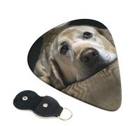 Plettri per chitarra elettrica acustica con adorabile cane labrador, 6 pezzi, per basso, chitarre acustiche, acustiche, ukulele, sottili, medie, spesse, 0,96 mm