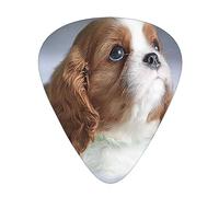 Plettri per chitarra, faccia Cavalier King Charles Spaniel per chitarra acustica, chitarra elettrica, basso, ukulele tre dimensioni (confezione da 12)
