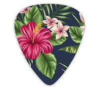 Plettri per chitarra Fiori tropicali Frangipani Hibiscus Nature Plettri per chitarra 12 confezioni - Varietà Plettri per chitarra Plettri