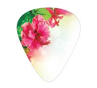 Plettri per Chitarra Floreali Confezione da 12 Plettri per Chitarra Universali in ABS, Fiore di Ibisco Fioretti Boccioli Foglia Essenza Fragranza Fiori Immagine del Giardino, per Chitarra Acustica ed