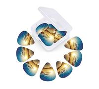 Plettri per chitarra floreali Crocus Confezione da 12 Plettri per chitarra universali in ABS, fiori di croco continui Illustrazione floreale disegnata a mano, per chitarra acustica ed elettrica, Aranc