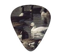 Plettri per chitarra Goose Print Confezione da 12 plettri per chitarra basso elettrico acustico Ukelele