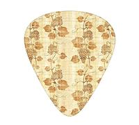Plettri per chitarra Grapes Papyrus, confezione da 12 con scatola sottile, figura culinaria su pergamena egiziana antica, grafica spiegazzata invecchiata, set regalo speciale di plettri per chitarra p