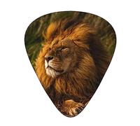 Plettri per chitarra Grassland Lion Print Confezione da 12 Plettri per chitarra sottili medi pesanti Accessori per chitarra per basso, chitarre con scatola di immagazzinaggio