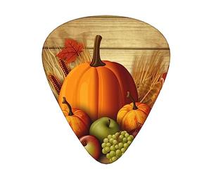 Plettri per chitarra Happy Thanksgiving stampato Ukulele Basso Elettrico Chitarre acustiche Sottile Medio Pesante Confezione da 12 (0,46/0,71/0,96 mm)