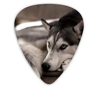 Plettri per chitarra Husky Dog Premium Plettri per basso per chitarra elettrica e basso con tre dimensioni (confezione da 12)
