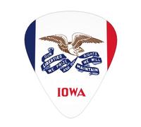 Plettri per chitarra Iowa State Flag 12 pezzi per ukulele, accessori per strumenti bassi