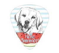 Plettri per chitarra Labrador Confezione da 12 Plettri per chitarra universali in ABS, citazione Hello Summer con un cane Retriever in stile schizzo e una fetta di anguria fresca, per chitarra acustic