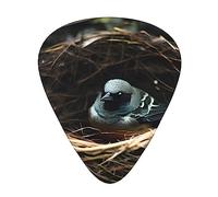 Plettri per chitarra Little Bird Nest, in celluloide di alta qualità per una migliore suonabilità e tono.